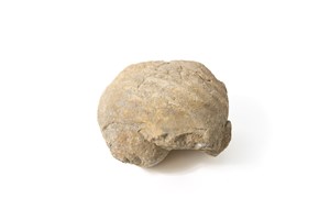 Image description is not available for 1983.7.1